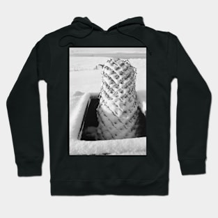 Chicken wire in snow Hoodie